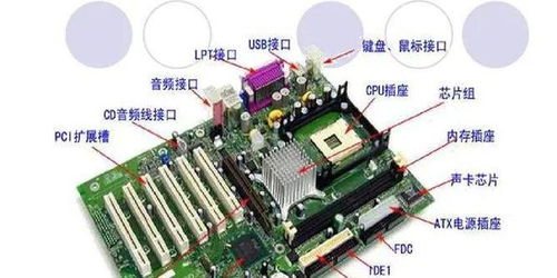 計(jì)算機(jī)硬件的組成、功能與發(fā)展